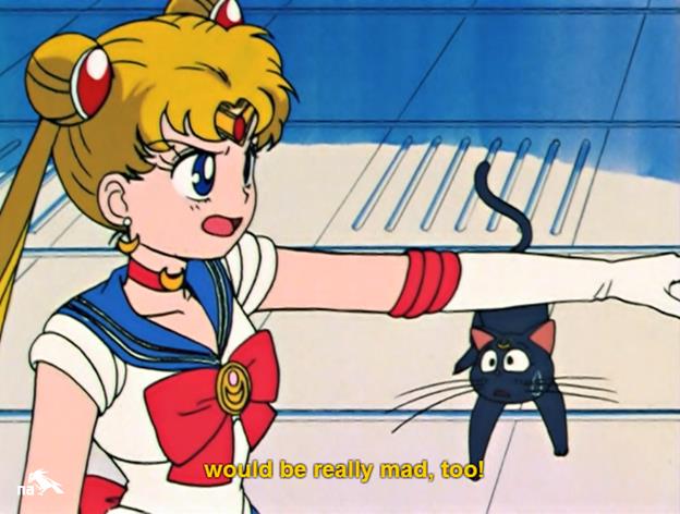 sailor moon - O Vício